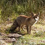 ホテル Rural El Caseron De