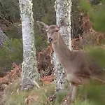 Rural El Caseron De ホテル