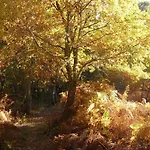 Rural El Caseron De Linarejos