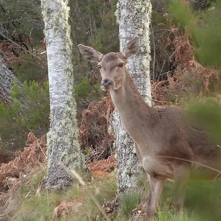 Rural El Caseron De 호텔