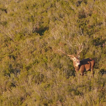 Rural El Caseron De Linarejos