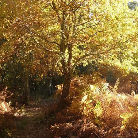 Rural El Caseron De Linarejos