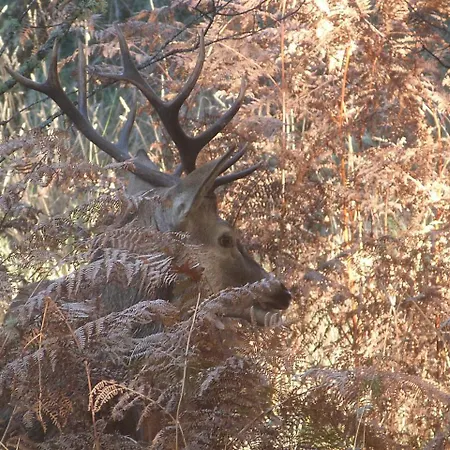 Rural El Caseron De 호텔 3*
